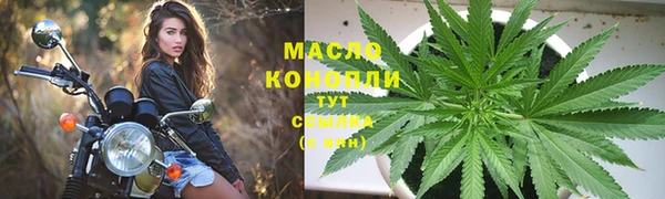 круглые Аркадак