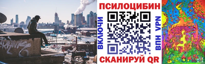 цена наркотик  Таштагол  Галлюциногенные грибы мицелий 